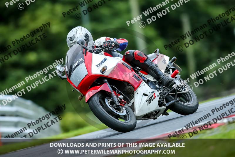 PJ Motorsport 2019;anglesey;brands hatch;cadwell park;croft;donington park;enduro digital images;event digital images;eventdigitalimages;mallory;no limits;oulton park;peter wileman photography;racing digital images;silverstone;snetterton;trackday digital images;trackday photos;vmcc banbury run;welsh 2 day enduro